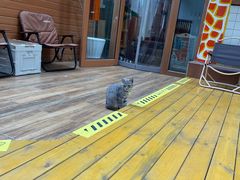 -长颈鹿咖啡(大学路店)