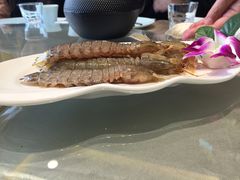 -渔娘渔家丹东海鲜(东直门店)