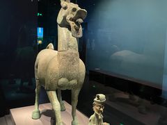 -广西壮族自治区博物馆