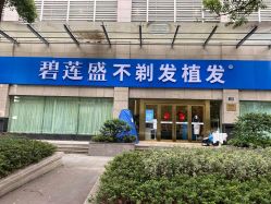 点击看大图 -碧莲盛·不剃发植发