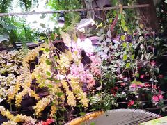 -正佳雨林生态植物园