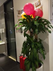 -妈妈时光机医疗产后修复(南山茂业百货店)
