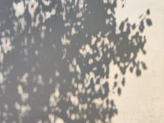 -龙溪路(地铁站)