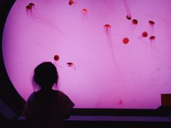 -沈阳海洋探索中心