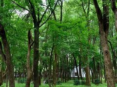 -东湖落雁景区