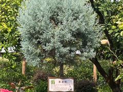 -李时珍纪念馆