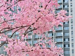 -首开·龙湖成都西宸天街