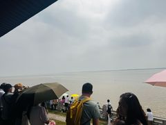 -观潮胜地公园