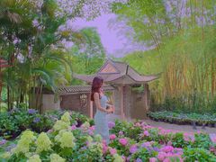 -广西壮族自治区药用植物园