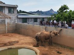 -西霞口神雕山野生动物世界