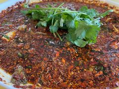 -胖大姐黄辣丁鱼庄(新津店)