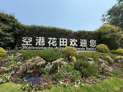 -空港花田景区
