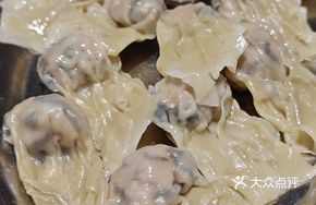 Dipping Sauce Handmade Wontons (Large Portion)