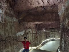 -中国西峡恐龙遗迹园