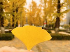 -百林公园-两江幸福广场