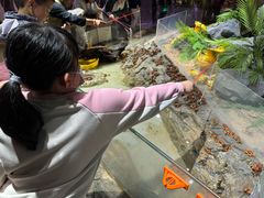 -正佳雨林生态植物园