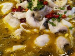 -阿英煲(凉城路店)