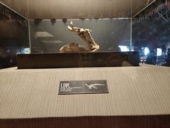-世界恐龙谷景区