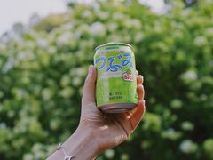 -上海滨江森林公园