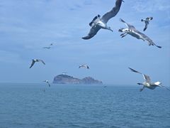 -海驴岛(荣成市)