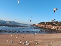 -青岛第三海水浴场