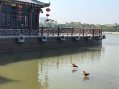 -顺峰山公园