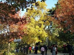 -香山公园-东宫门售票处