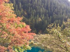 -九寨沟-树正沟