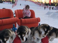 -北京亚布洛尼朝阳公园滑雪场