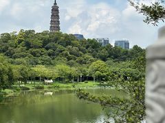 -顺峰山公园
