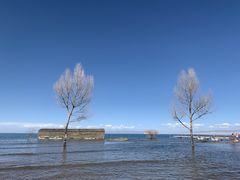 -青海湖国家重点风景名胜区