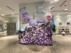 -深圳龙华星河COCO City(民治店)