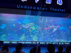 -泉城欧乐堡海洋极地世界