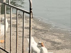 -中国农业博物馆