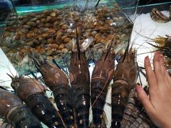 -Ministry of Crab(科伦坡店)