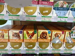 -中国农业大学动物医院