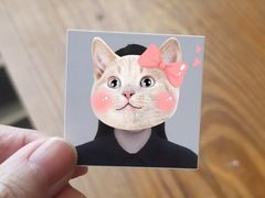 -白箱照相馆·外拍