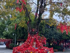 -成都欢乐谷