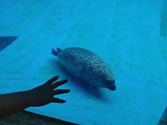 -珠海长隆海洋王国