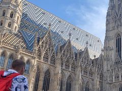-斯蒂芬主教座堂(Stephansdom)