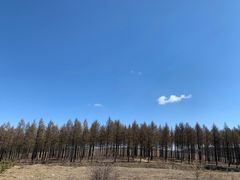 -塞罕坝国家级自然保护区