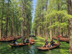 -渌洋湖湿地公园