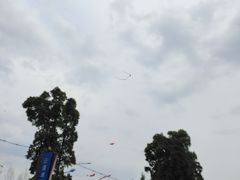 -云漫湖生态度假公园