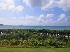 -三亚亚龙湾天域度假酒店