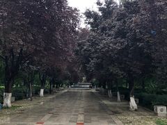 -绵阳人民公园(涪城区)