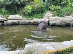 -上海野生动物园