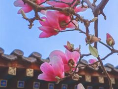-丰台花园