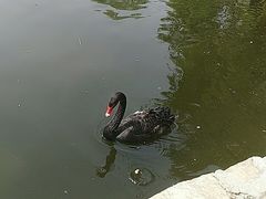 -石家庄市动物园