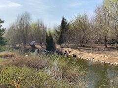 -长白岛森林公园