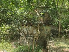 -火炉山森林公园